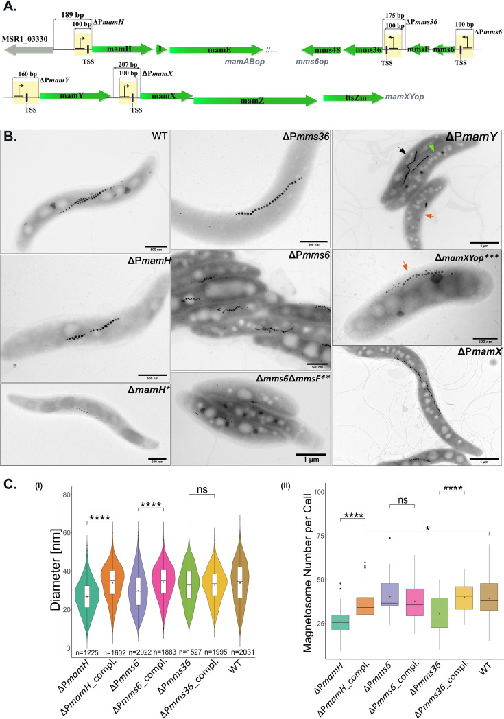 FIG 3