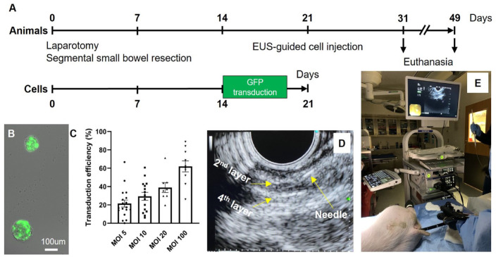 Figure 4.