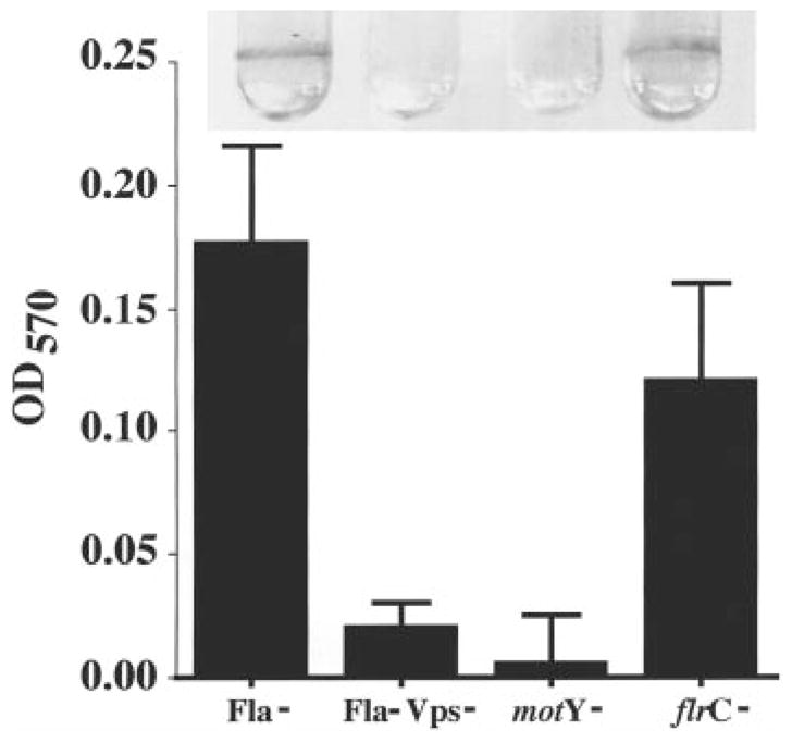 Fig. 8