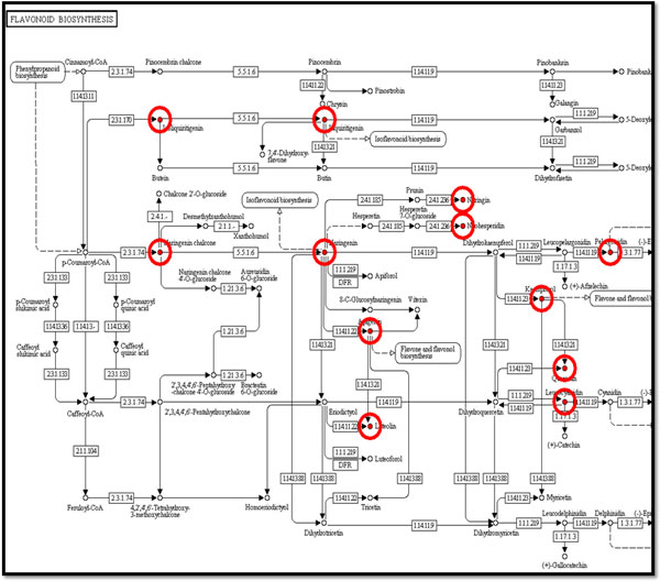 Figure 12