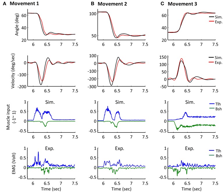 Figure 7