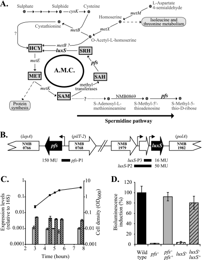 FIG. 1.