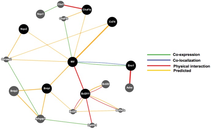 Figure 7