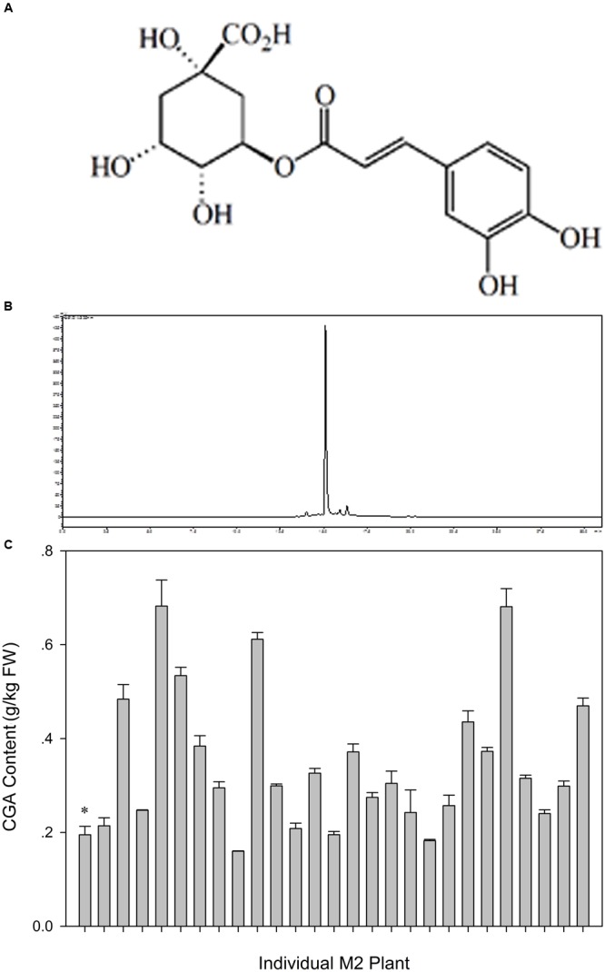 FIGURE 9