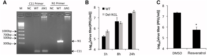 FIGURE 4