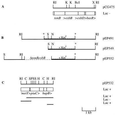 FIG. 1