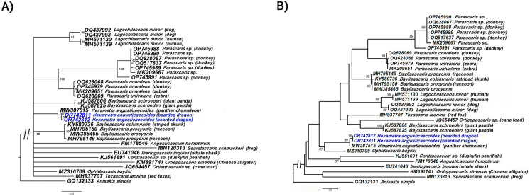 Fig. 6