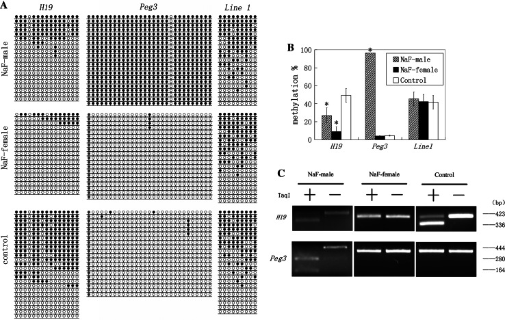 Fig. 1