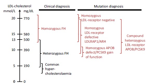 Fig. (1)