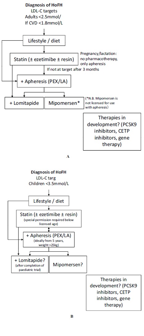 Fig. (4)