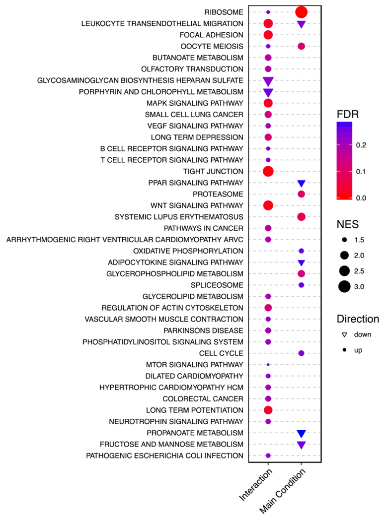 Figure 5: