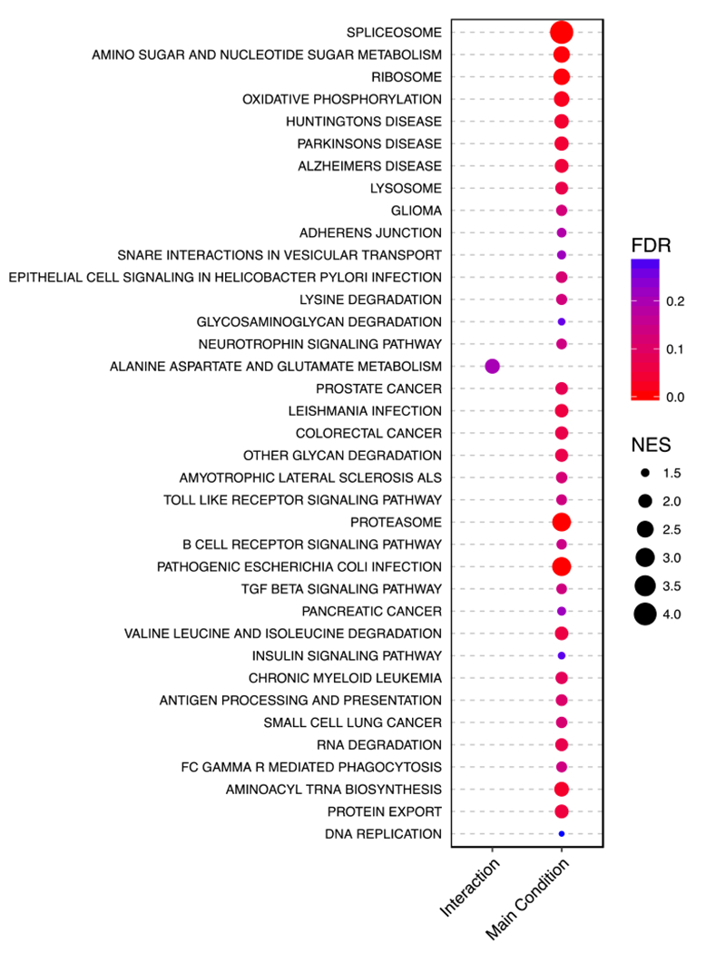 Figure 6: