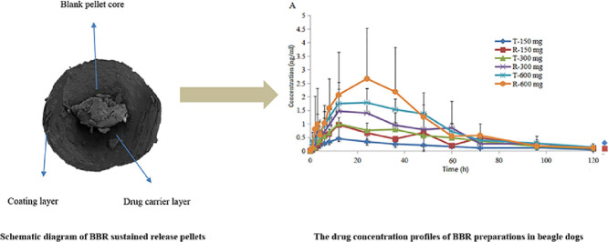 Image, graphical abstract