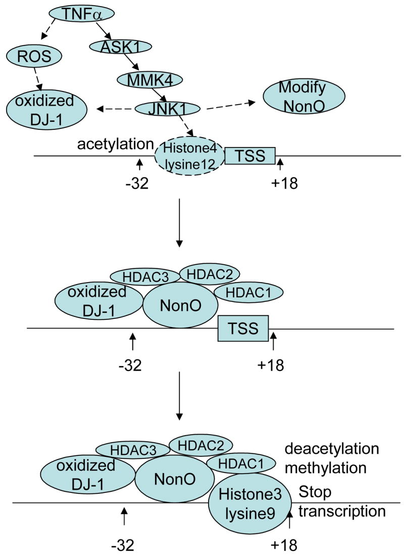 Fig. 8