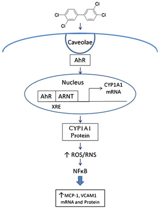 Fig. 5