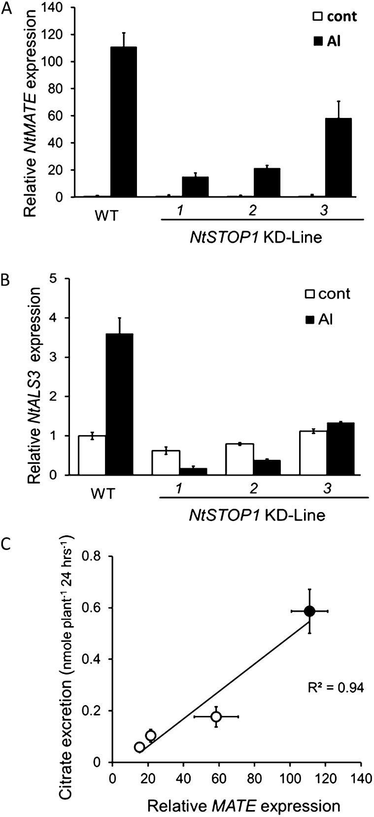 Figure 5.