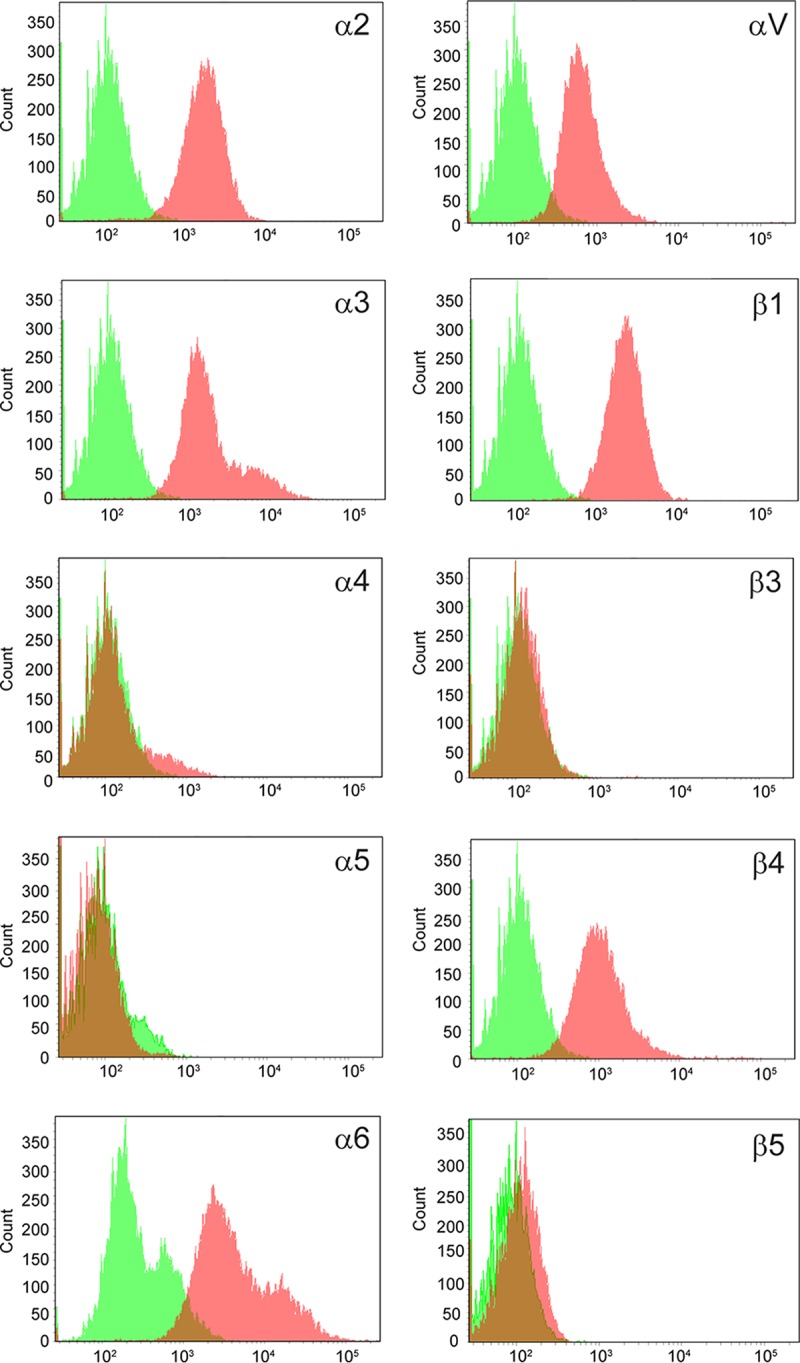 FIG 2