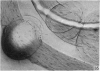284-3