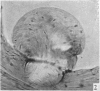 284-1