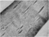 284-3