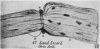 284-3