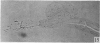 284-2