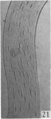 284-3