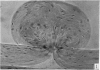 284-1