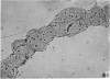 284-1