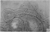 284-2