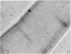284-3