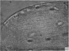284-2