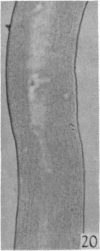 284-3