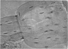284-3