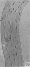 284-3