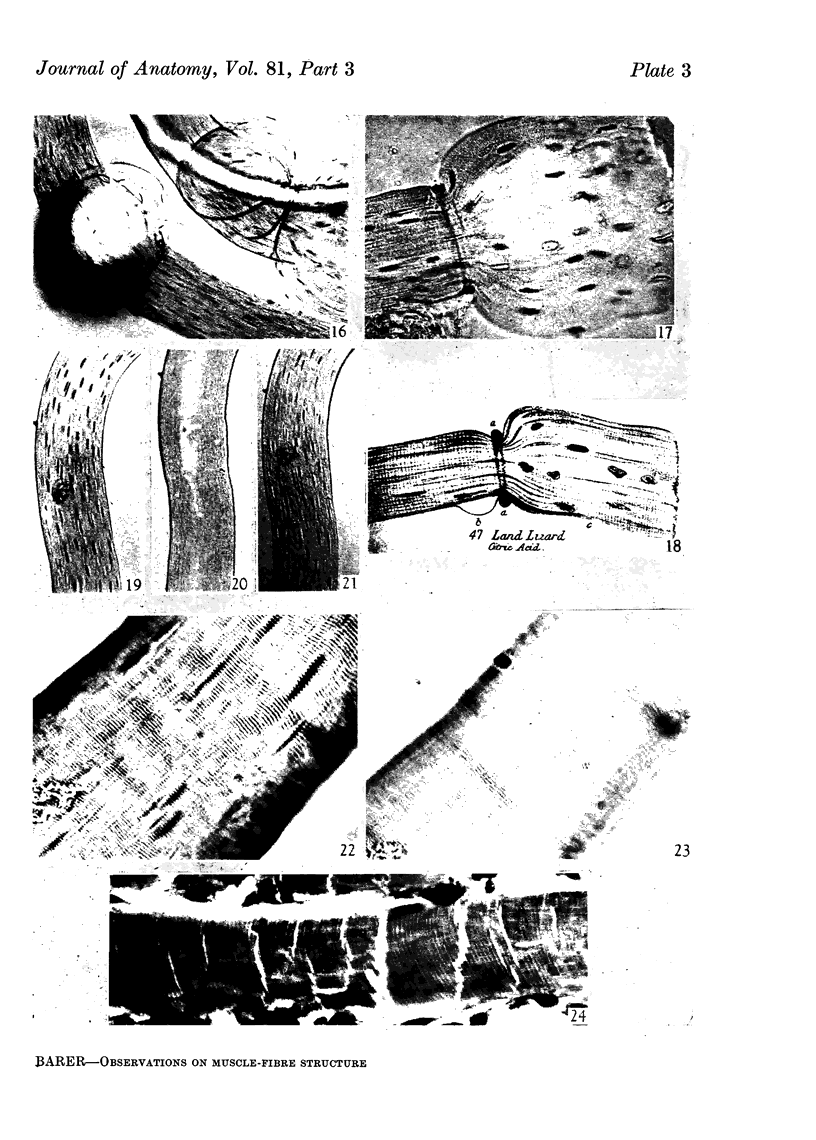 284-3