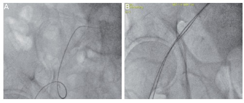 Figure 2: