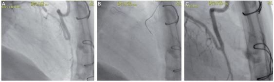 Figure 3: