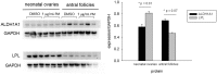 Figure 10.