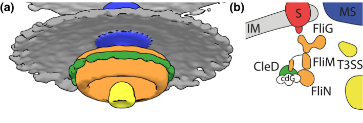 FIGURE 4