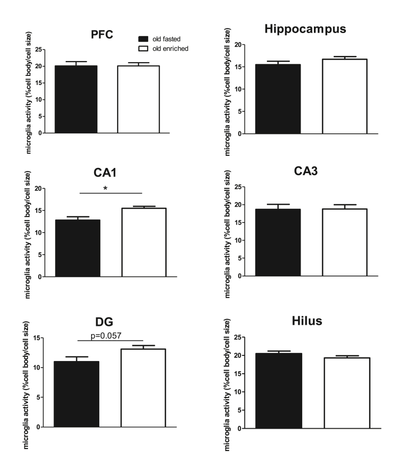 Fig. 7