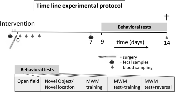 Fig. 1