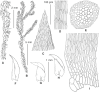Figure 20