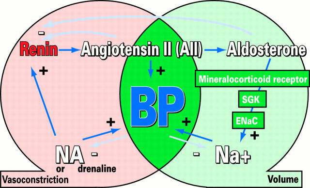 Figure 3:  