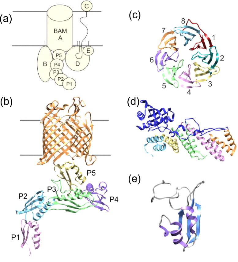 Fig. 6