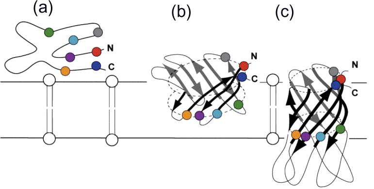 Fig. 8