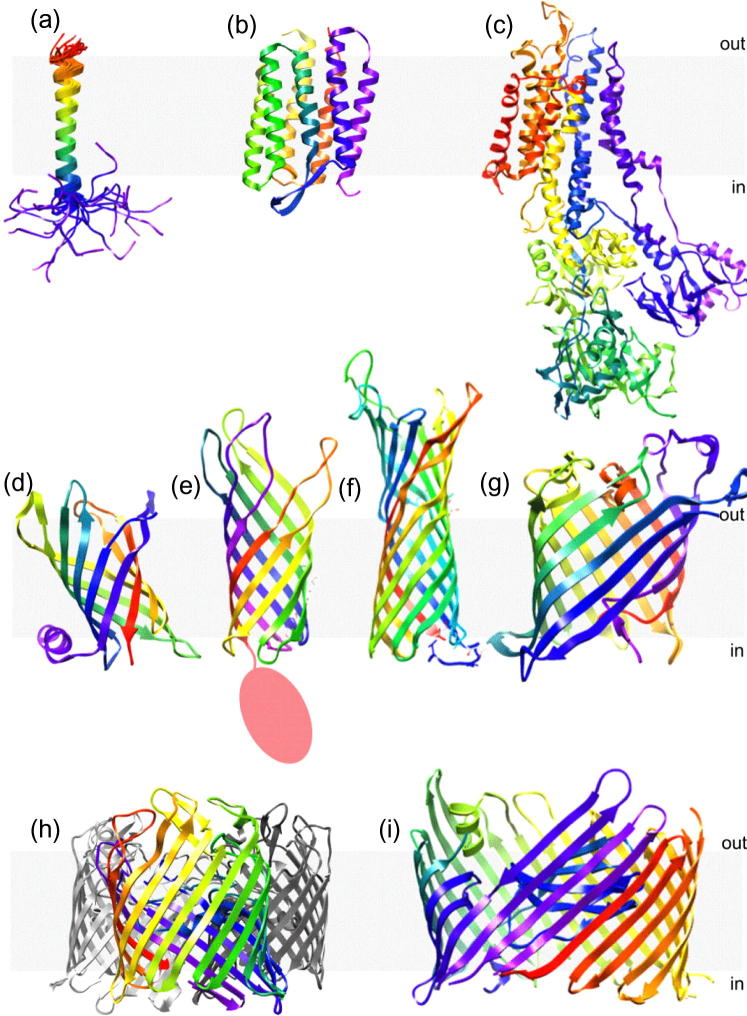 Fig. 2