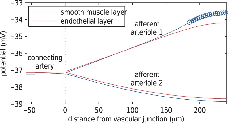 Fig. 8.