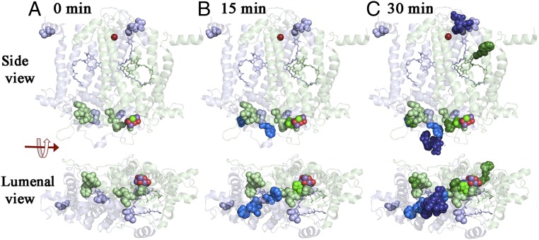 Fig. 4.