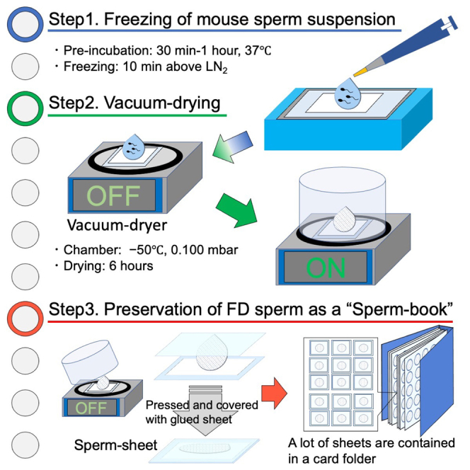 graphic file with name fx1.jpg